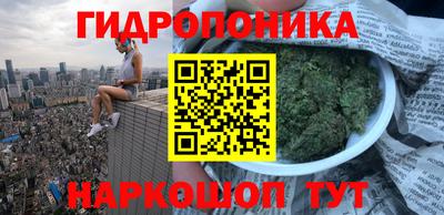 PSILOCYBIN Кунгур