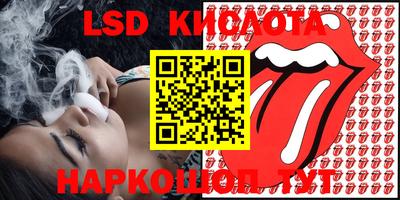 PSILOCYBIN Кунгур
